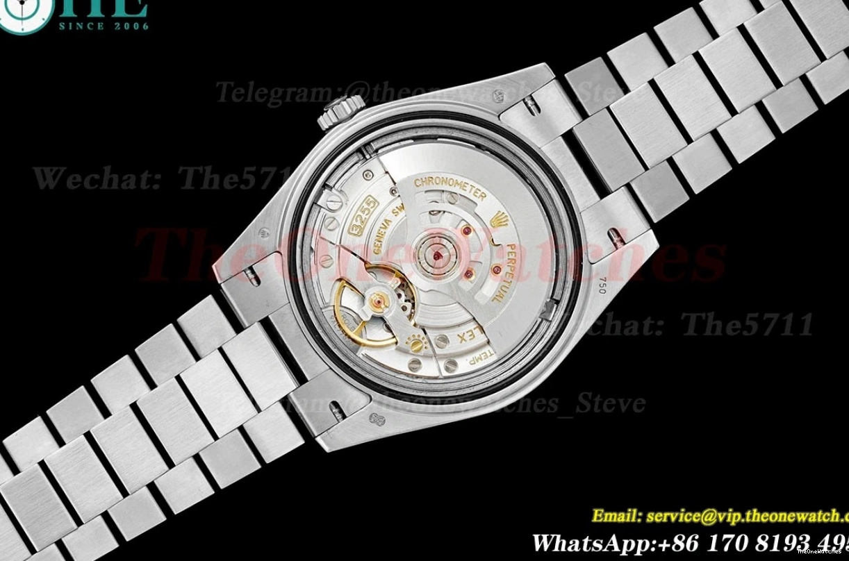 VR3255(Gain Weight) SS KF SS 228236 Silver 40mm Dia DayDate 0524